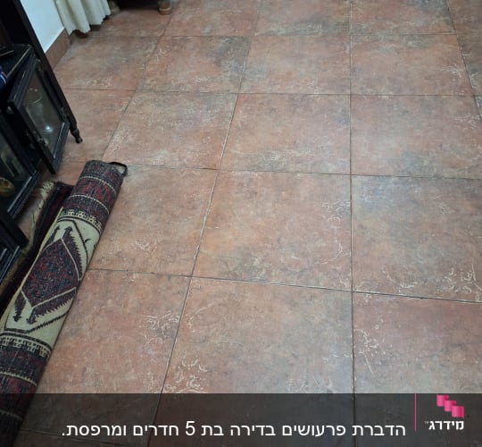 רצפה עם שטיחים מגולגלים, ללא ציוד הדברה נראה